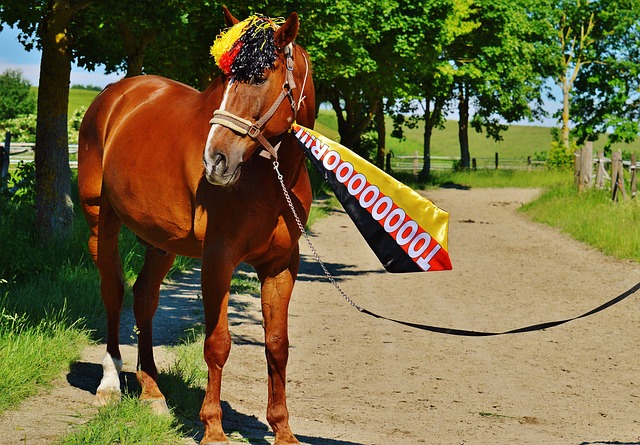 leisu:林加德谈职业生涯:100%没有失败的感觉,弗爵爷一直很信任我.